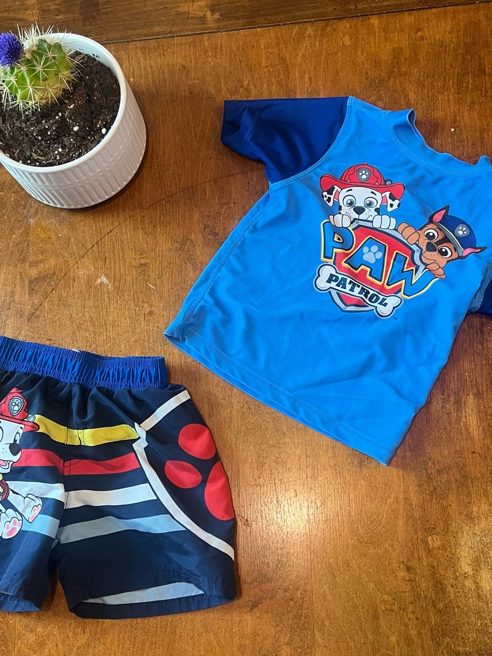 Paw Patrol Rash Guard Swim Set Boys Size 3T Blue Marshall Chase Swim Trunks